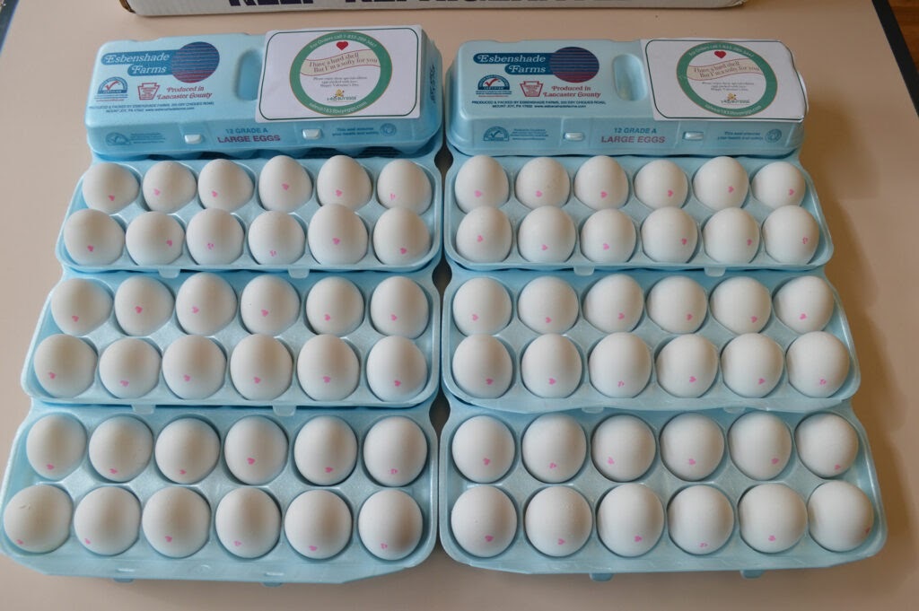 Donating 20,000 Farm Fresh Eggs