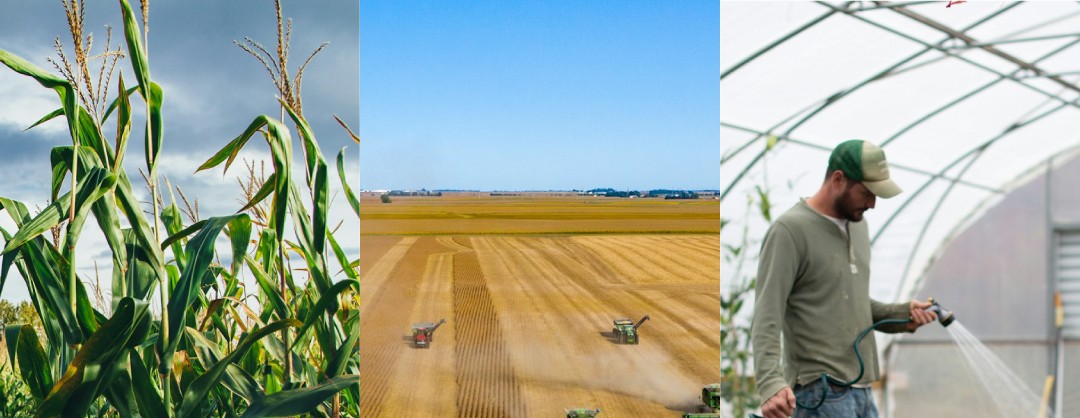 10 Years of Agribusiness, Resilience, and Impact