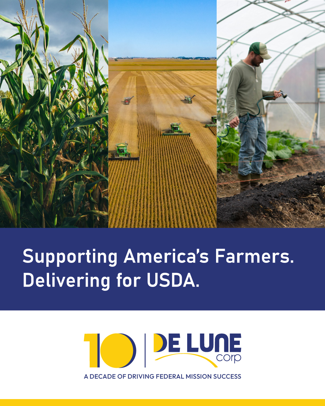 10 Years of Agribusiness, Resilience, and Impact